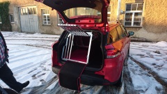 Hundeboxen Renault