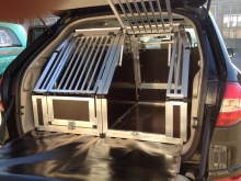 Hundebox Renault