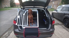 Hundebox Audi A6 Avant