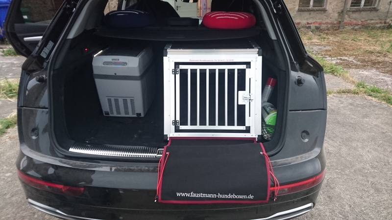 Kofferraumausbau für Hunde - Audi A6