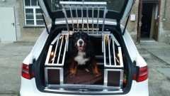 Hundebox Audi A4 Avant