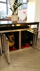 Hundetransportbox-Stubenbox
